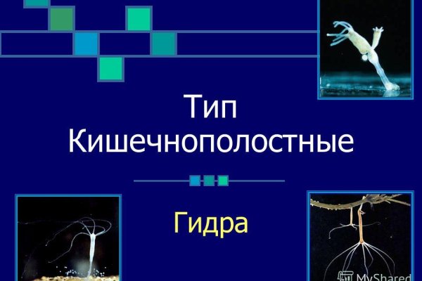 Kraken сайт kraken torion