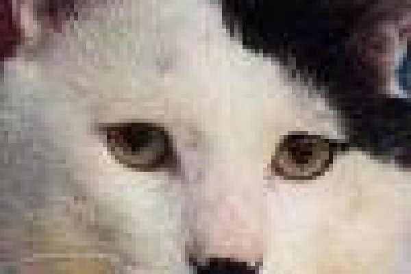 Kraken 4 ссылка