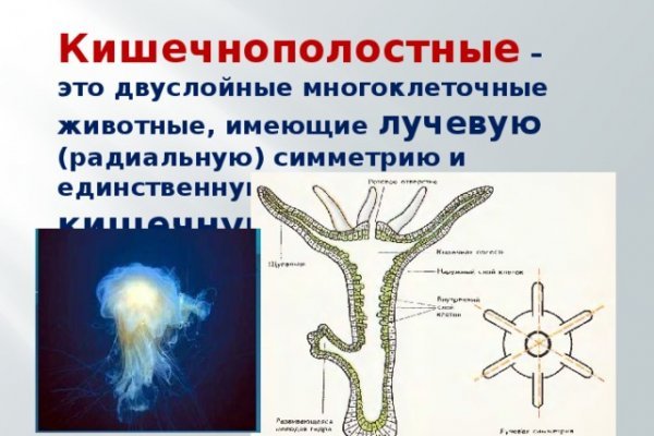 Кракен нарк